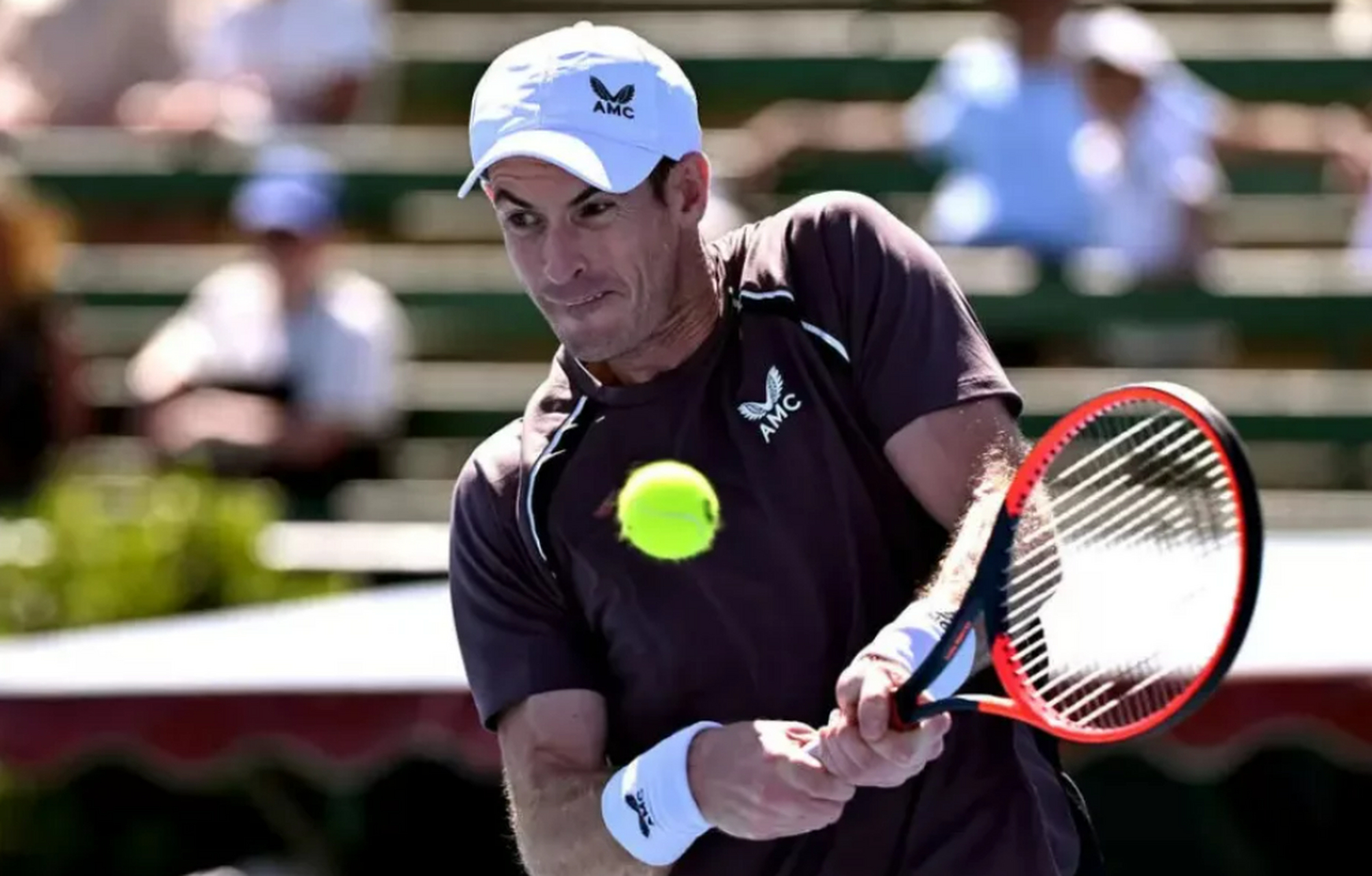 J9-关于穆雷回归赛场，大胜首场状态亮眼，雄鹿观众沸腾！的信息